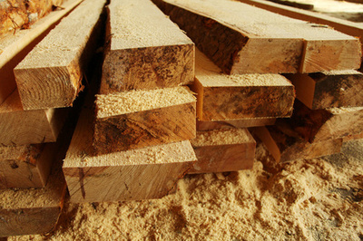 木材之美 自然紋理與商用價值