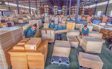 真心實意服務 真金白銀支持——埇橋區精準發力助推民營經濟高質量發展之木材產業篇