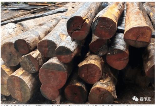 疫情下的多維沖擊 死亡數據、政治問責與個體遭遇