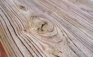 聞香識木，教您識別身邊的木材