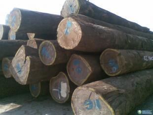 供應南非德班至東莞沙田港木材清關代理 | 專業沙田木材報關行服務指南