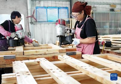 河北唐山 鄉村工廠里的“木板”致富經